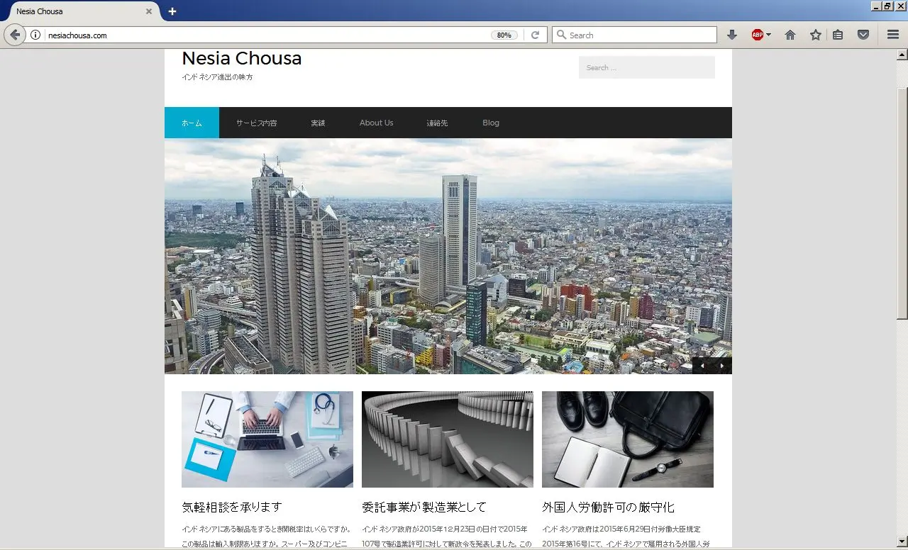 nesia chousa website - jasa pembuatan cepat website